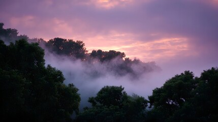 Fototapeta premium Misty forest landscape during twilight with colorful fog and sky