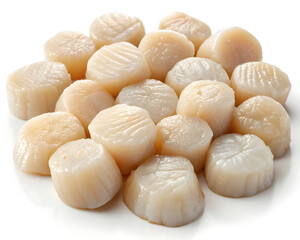 Large dry sea scallops
