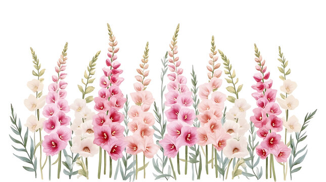 Blooming Snapdragons in Soft Pink and White Flowers