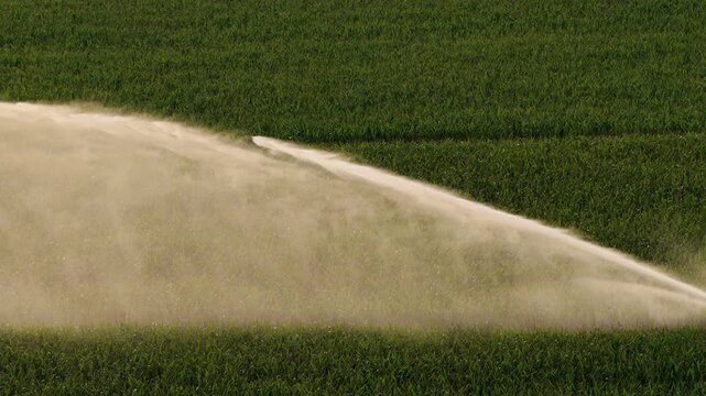 Irrigation of a field � Agriculture in a hot summer in France