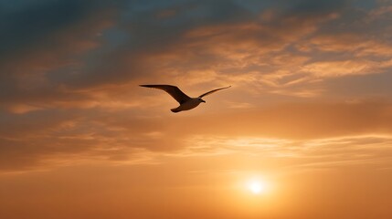 A lone seagull soars gracefully through a vibrant sunset sky filled with dramatic colorful clouds