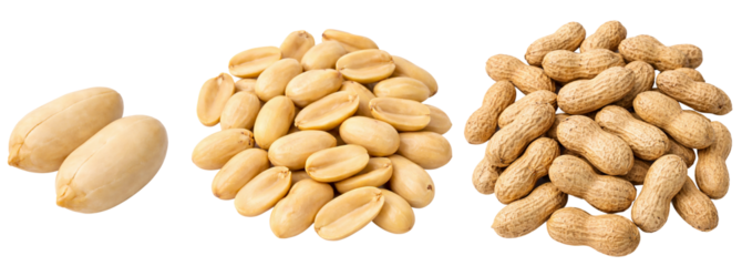 Peanut Varieties Set