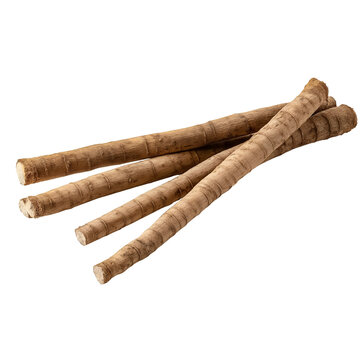 Group of Burdock Roots root vegetable isolated on a transparent background