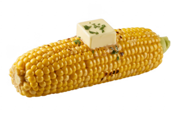 Grilled corn on the cob with butter buttered corn yellow corn isolated on a transparent background