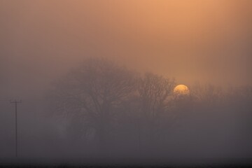 sun rising through the mist over a field on a winter day with an orange sky in the background