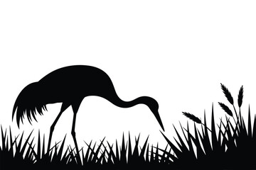 Fototapeta premium Elegant black silhouette of a crane bird foraging in grassy marshland wildlife nature scene minimalistic design for environmental conservation awareness graphic design projects and nature documentary