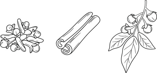 Spices and Herbs Line Illustration Set Featuring Cloves, Cinnamon Sticks and Bay Leaves, Natural Cooking Ingredients for Culinary and Botanical Design Vector