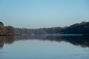 Fototapeta premium trees and blue winter sky reflecting in the water River Hamble Hampshire England