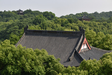 Traditional Chinese rooftop above the forest in Hangzhou, China