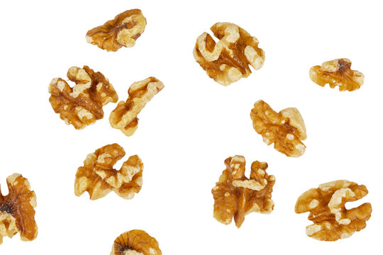 falling walnut seeds or walnuts core isolated on white or transparent png