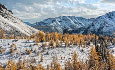 Larch Valley in Autumn after snow fall - Canadian Rockies © Craig Zerbe