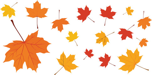 Fototapeta premium Autumn maple leaf illustration set with colorful fall foliage shapes in seasonal flat vector style