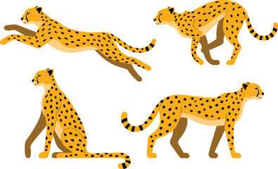 Cheetah vector illustration, wild animal poses, leaping, walking, sitting, standing, yellow coat, black spots, speed, agility, wildlife, predator, feline