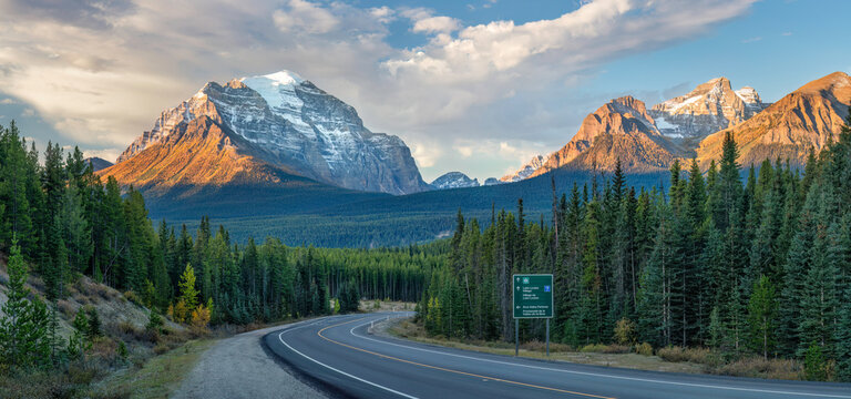 Scenic autumn drive on the Icefields Parkway headed towards Lake Louise - Banff National Park - Golden Larch Trees