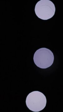 Una toma de cerca de varias luces de  colores con un fondo desenfocado oscuro. Video Vertical