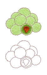 Local flavor Delicious green ball klepon with grated coconut and liquid brown sugar filling. Indonesian traditional food 