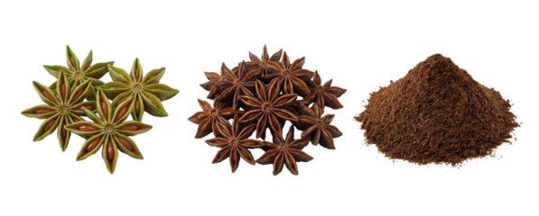 Star Anise Spice Collection showing Fresh Green Fruit Dried Brown Stars and Powder Isolated
