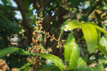 The concept of bee pollination and its impact on global ecosystems a photograph of a mango flower cluster incorporating holographic icons plant nutrient requirements nature research studies.