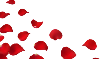 Celebrating women's day with love and empowerment through rose petals