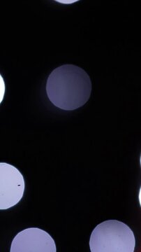 Una toma de cerca de varias luces de  colores con un fondo desenfocado oscuro. Video Vertical