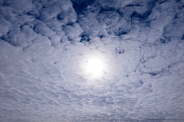 Obraz premium Soft cloudscape. Cumulus clouds with daylight. Sky background with fluffy cloud texture. Soft clouds. Scattered clouds. Fluffy cumulus clouds in sky.