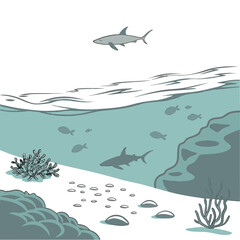Naklejka premium Crystal clear water showing seabed below white background with shark and fish