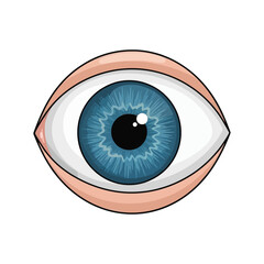 A detailed illustration of a blue human eye with a white background.