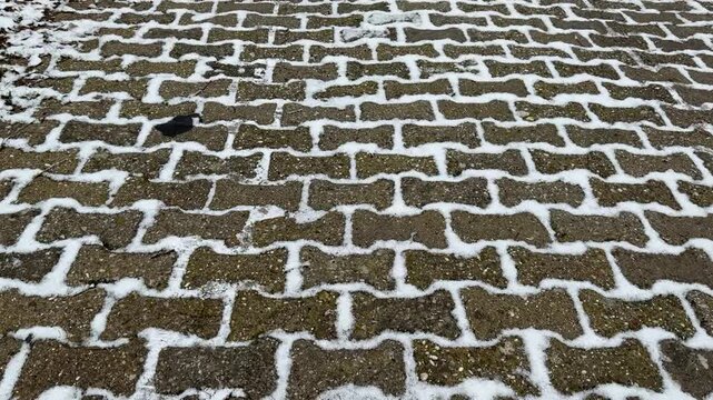 Walking on the paved path and the beauty of the texture after the snowfall.