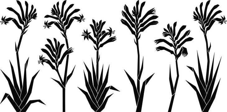 Geometric botanical flower silhouettes with angular leaves and tall stems, desert plant vector illustration for decals, laser cutting, stickers, wall art, design