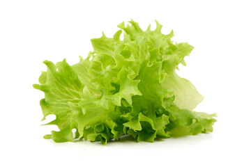 Fresh Green Lettuce Salad, isolated on white background