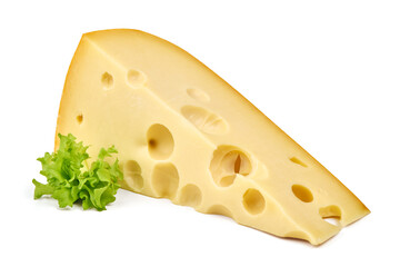 Swiss Cheese with Lettuce, isolated on white background
