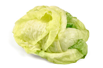 Fresh Butterhead Lettuce, isolated on white background
