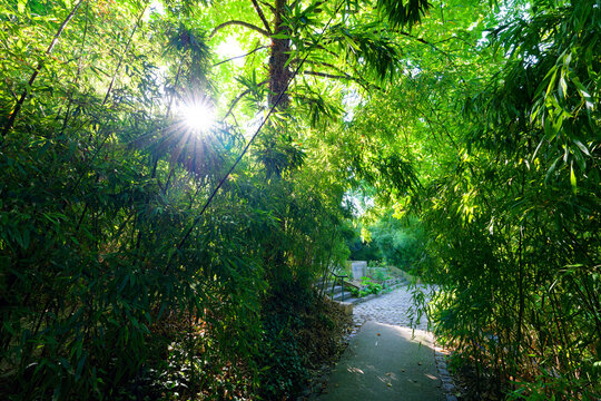 Belleville park in the 20th arrondissement of Paris city