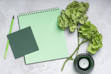Two green hydrangea branches and a spiral-bound notebook. Women's workspace, greeting card, message.