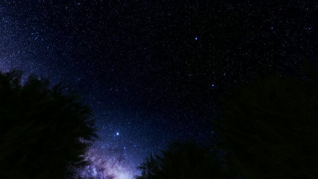 Starry night sky nature bg 4k