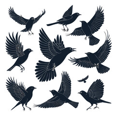 Obraz premium Set of flying bird silhouettes in black vector style