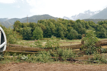 Fototapeta premium Fence meadow trees mountains rural landscape with wooden fence, green field and distant mountain peaks