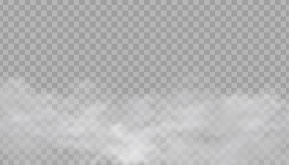 Fog or smoke cloud isolated on a transparent background. White clouds, haze, smog, dust, smoke, steam, displayed on a transparent PNG background. © Ihor Nemynushchyi