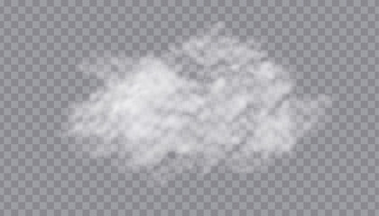 Fog or smoke cloud isolated on a transparent background. White clouds, haze, smog, dust, smoke, steam, displayed on a transparent PNG background. © Ihor Nemynushchyi