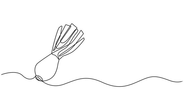 onion stalk animation continuous one line drawing, Leeks, fresh onion stalk illustration, background. One line drawing art illustration with lettering organic leeks, Fresh ingredient concept for veget