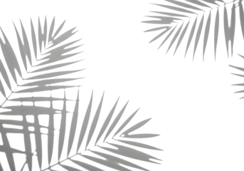 Abstract geometric pattern with sharp angles isolated on a transparent background