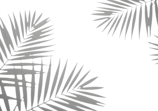 Abstract geometric pattern with sharp angles isolated on a transparent background - Powered by Adobe