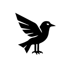 Fototapeta premium bird silhouette vector