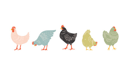 Cute Hand Draw Chickens On a white background. Cartoon poultry Design for Easter, farm design of postcards, posters, banners