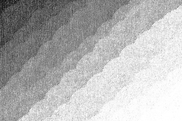 Smooth diagonal halftone gradient transitioning from dark to light. Dense textured dots create a soft fade effect and subtle tonal variation.
