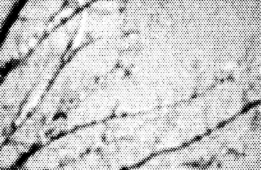 Macro halftone dot pattern suggesting twigs and branches. Black ink raster texture isolated as a transparent PNG with alpha, perfect for nature overlays and grunge design.