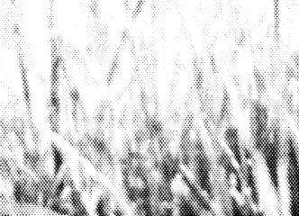 Macro halftone pattern evoking the look of tall grass or reeds. High-contrast black dots on a transparent background, ideal for nature-inspired design overlays.