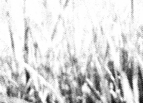 Macro halftone pattern evoking the look of tall grass or reeds. High-contrast black dots on a transparent background, ideal for nature-inspired design overlays. - Powered by Adobe