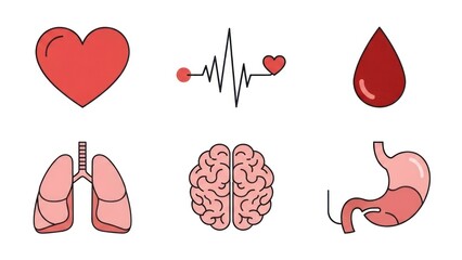 Medical organ icons set heart lungs brain blood drop isolated elements