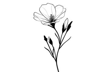 Elegant flower line art on black background